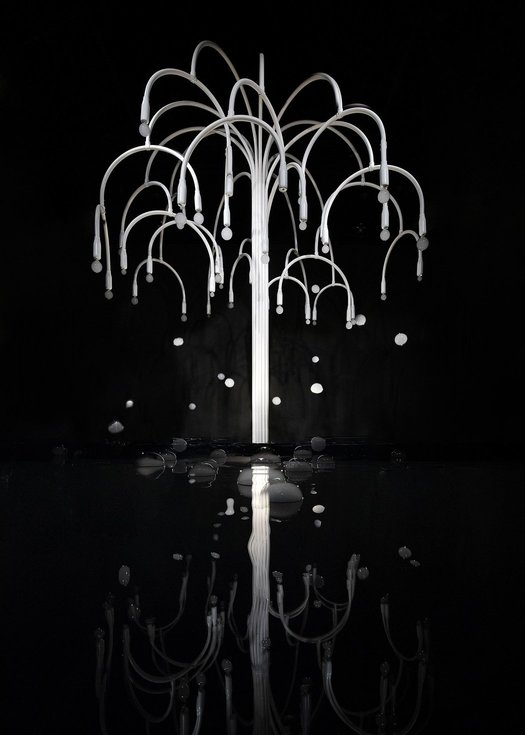 Launch of COS X STUDIO SWINE’S Installation “New Spring”